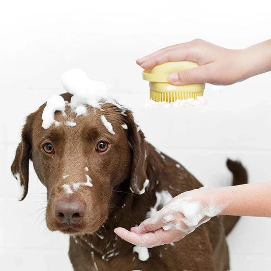 How Often Should You Wash Your Dog? Vet-Backed Advice