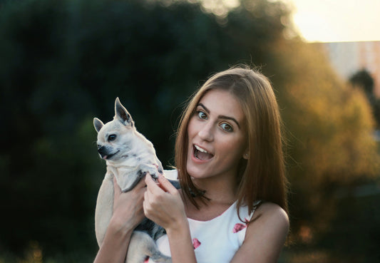 🐱 Why Grain-Free Cat Food Might Be the Right Choice