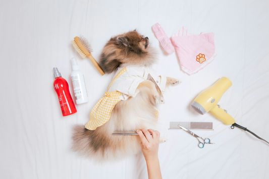 A fluffy golden retriever being brushed with a slicker brush on a sunny porch