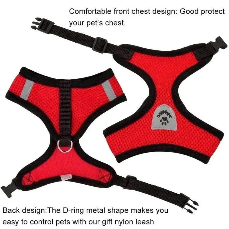 Cat wearing adjustable mesh harness and leash set