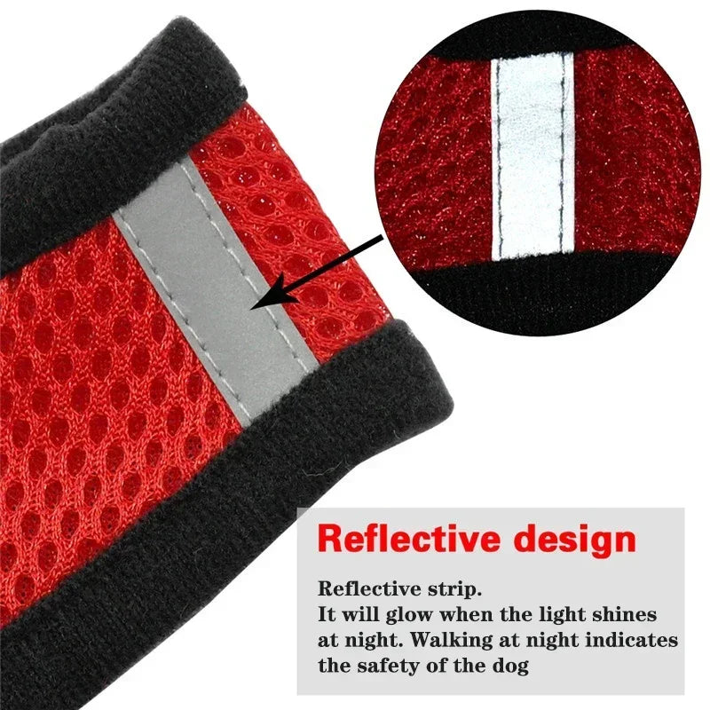 Color variants of adjustable pet harness leash set