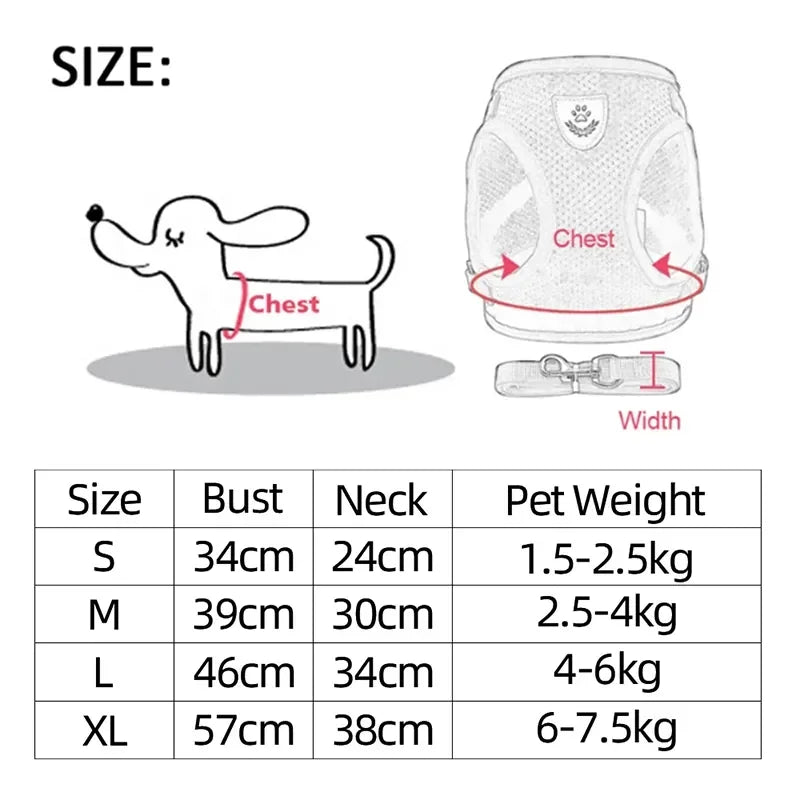 Top view of dog and cat harness leash set