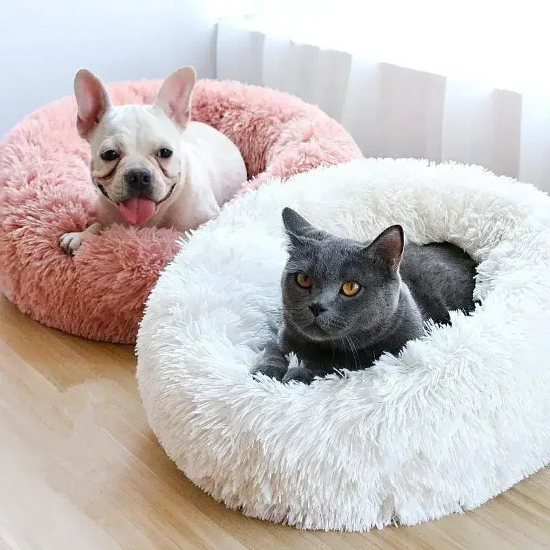 Raised rim of donut pet bed providing neck support and security