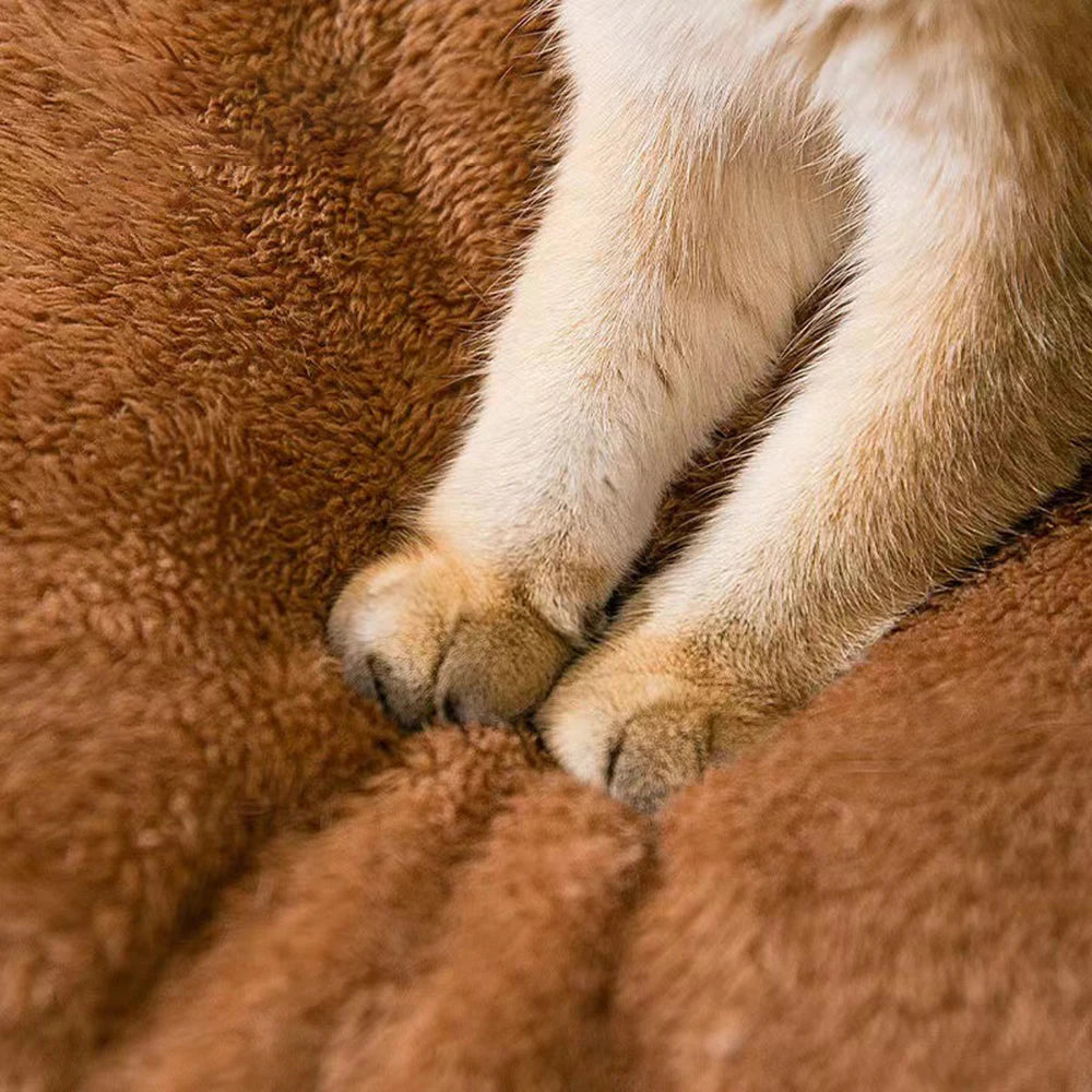 Close-up of teddy-style plush fabric and stitching detail