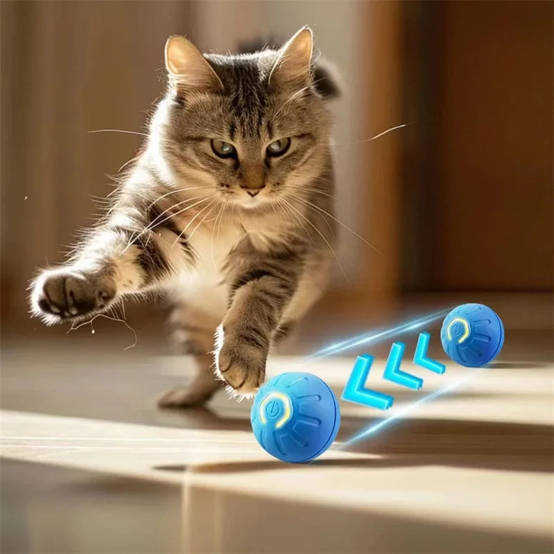 Smart interactive dog toy ball, USB rechargeable and bouncing