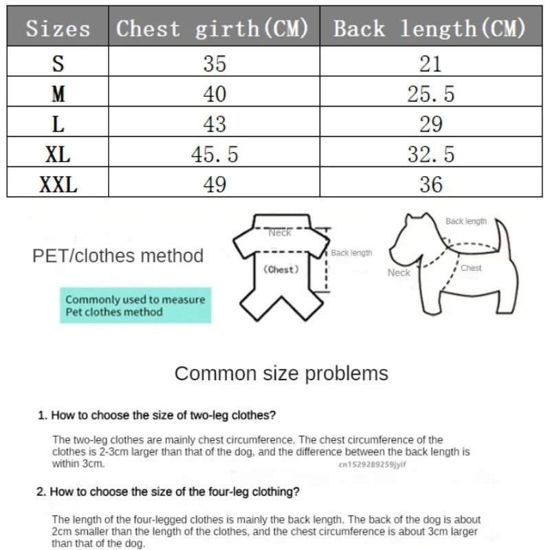 Small dog wearing warm waterproof winter jacket harness