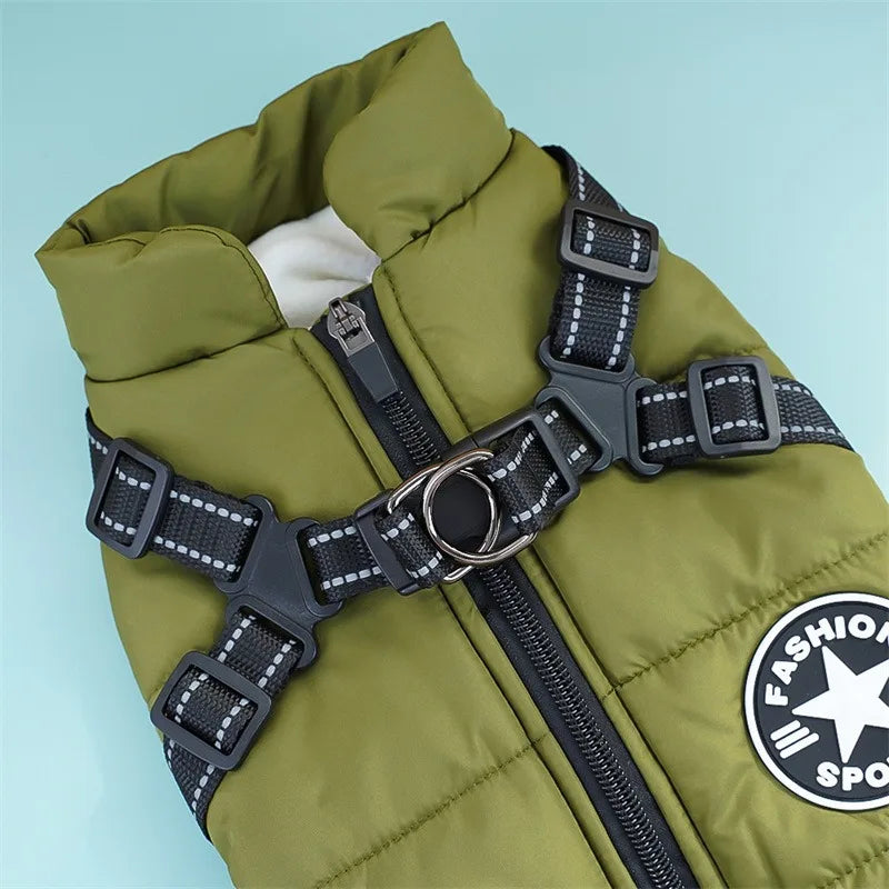 Detail of harness buckle and reflective straps on dog coat