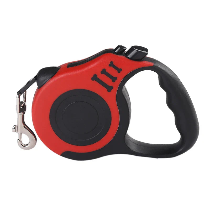 “dog on a retractable leash outdoors during a walk”