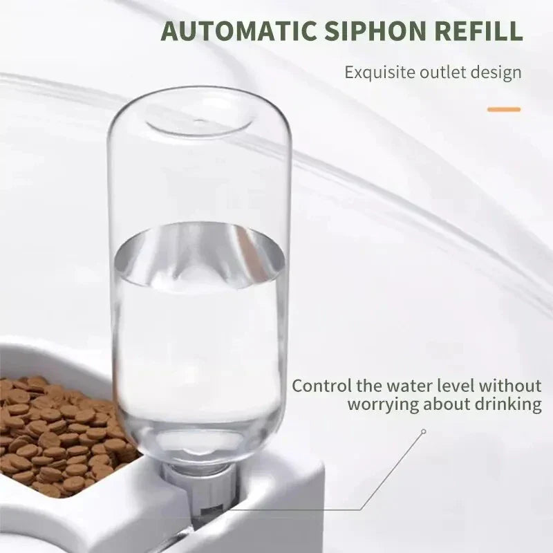 “automatic moisture-proof pet bowl filled with dry kibble for cat or dog”