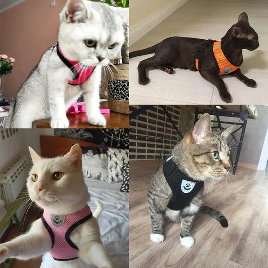 Breathable mesh dog and cat harness leash set providing secure comfortable fit for safe outdoor walking