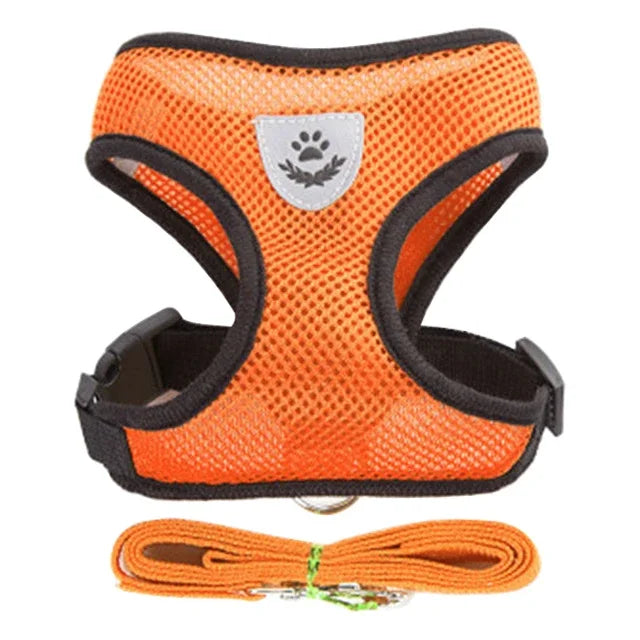 “small dog wearing breathable adjustable harness and leash set on a walk”