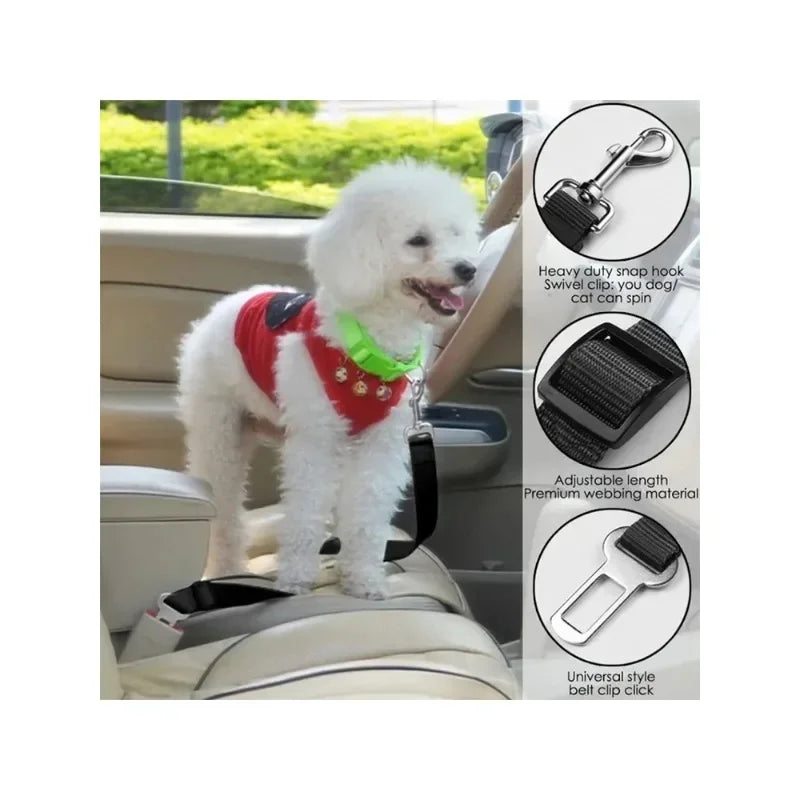 “small dog secured with adjustable seatbelt harness in a car back seat”
