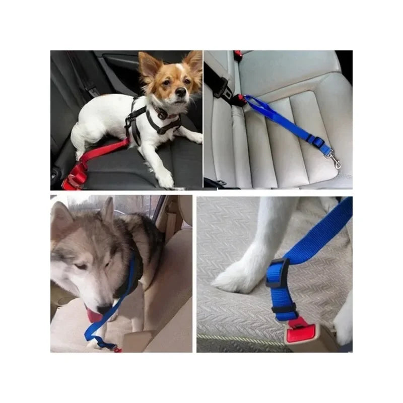 Dog secured with adjustable car seatbelt attached to harness sitting safely in vehicle seat during travel