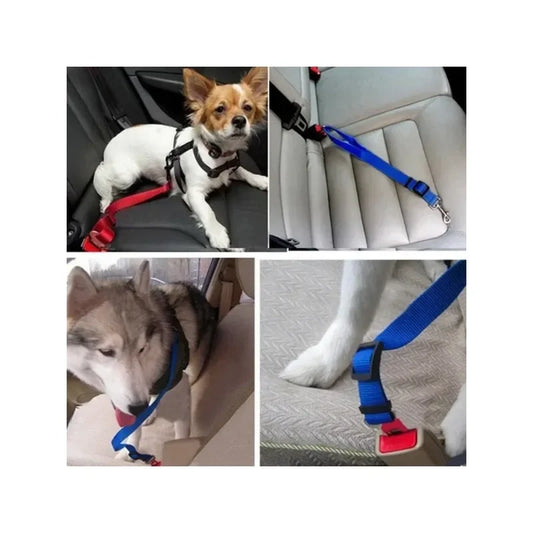 Dog secured with adjustable car seatbelt attached to harness sitting safely in vehicle seat during travel