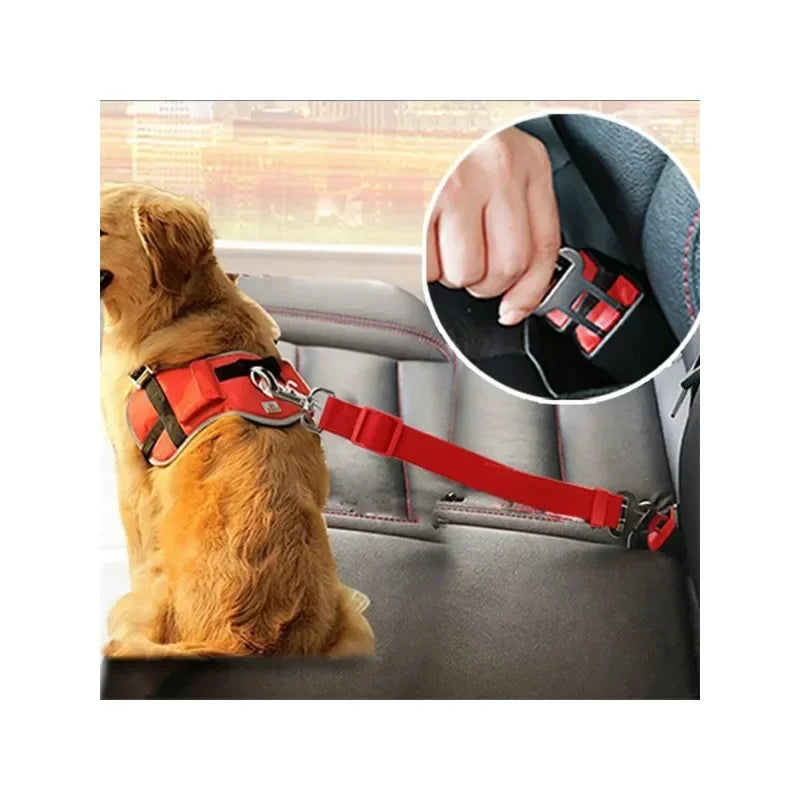“Happy dog wearing a safety seatbelt in the back seat of a car, enjoying a comfortable and safe ride.”