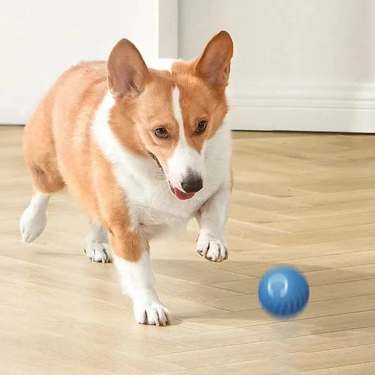 🐶 Best Dog Toys for Mental Stimulation in 2025