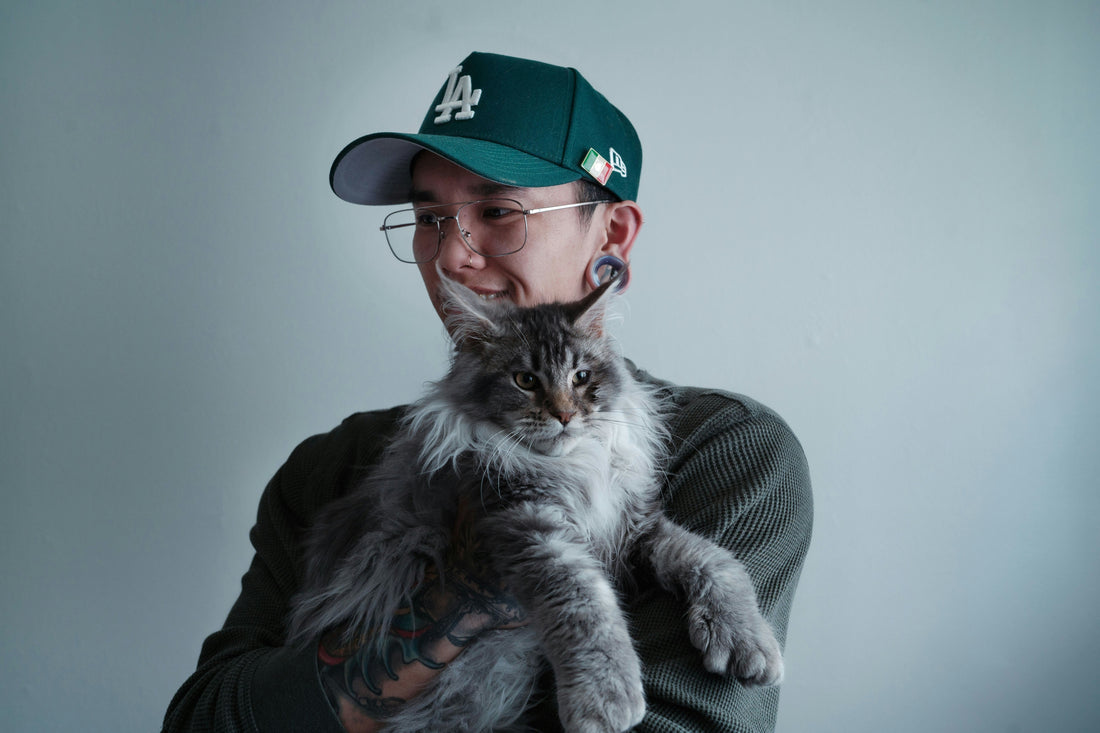 🐾 Best Cat Toys for Indoor Cats in 2025 (Keep Them Happy & Active)