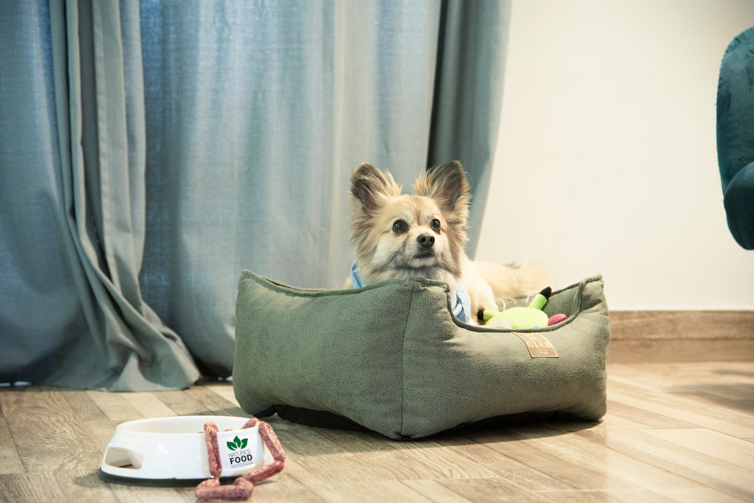 Square plush pet bed sofa cushion providing a soft and cozy resting space for a small dog or cat