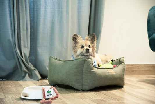 Square plush pet bed sofa cushion providing a soft and cozy resting space for a small dog or cat