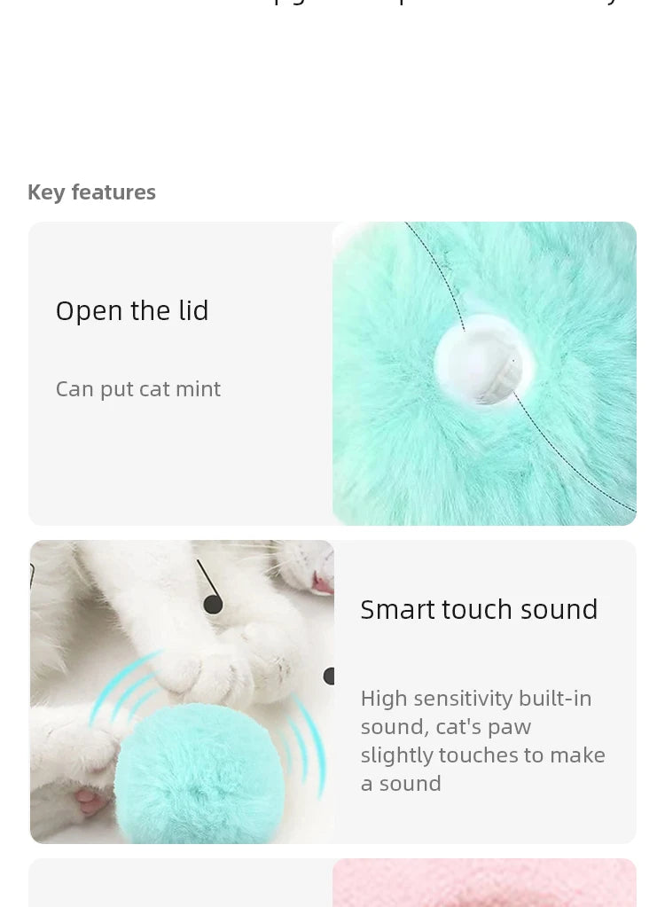 Smart cat toys