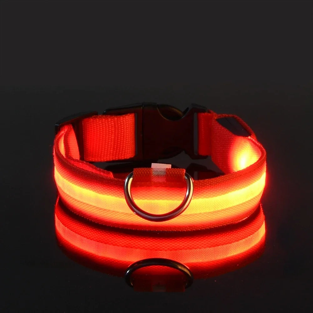 Dog collar nylon LED