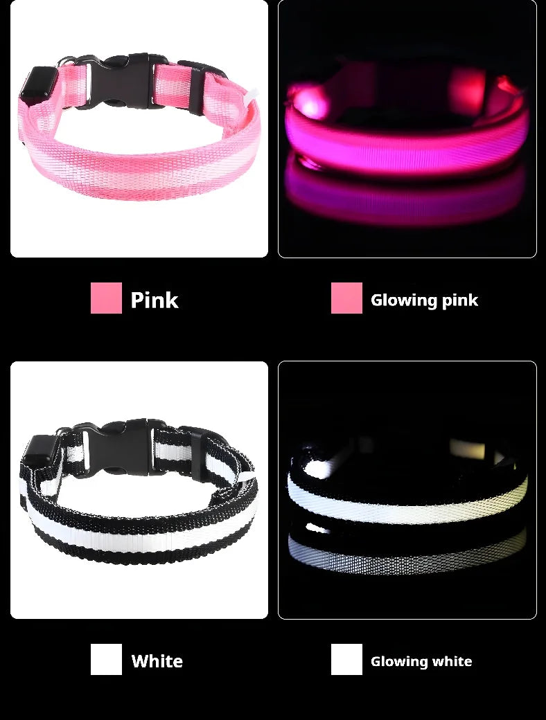 Dog collar nylon LED