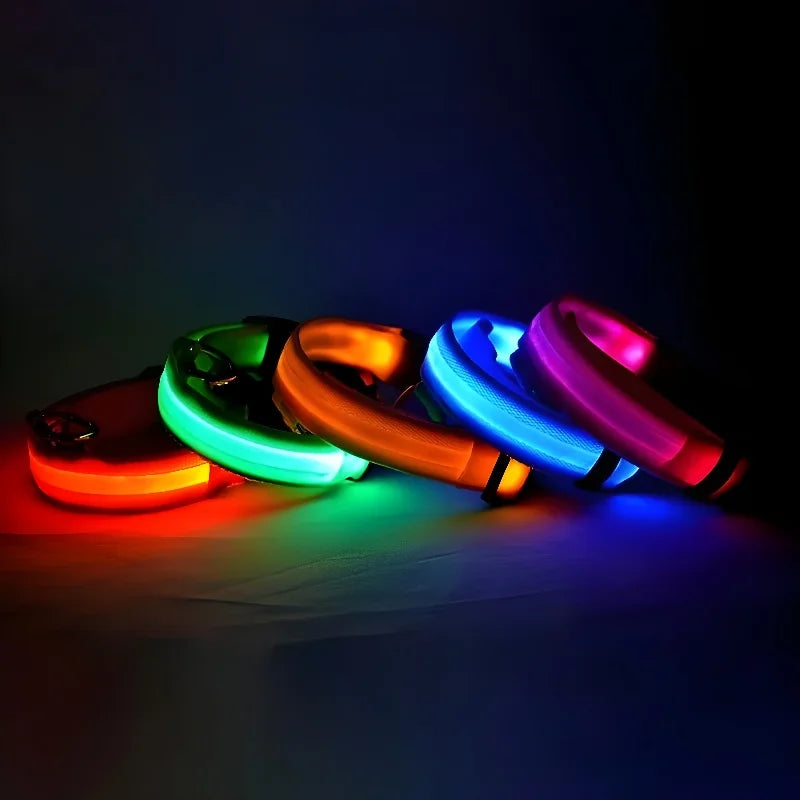 Dog collar nylon LED