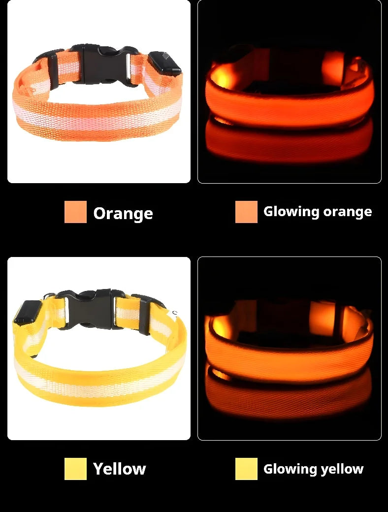 Dog collar nylon LED