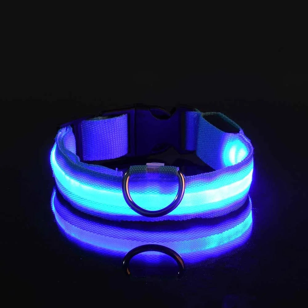 Dog collar nylon LED