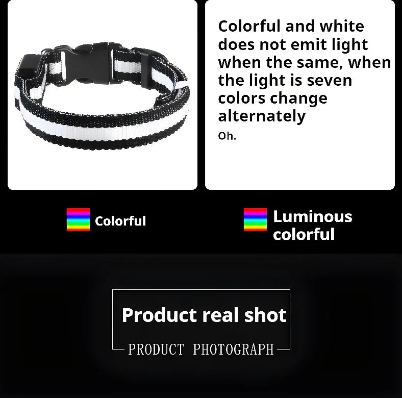 Dog collar nylon LED