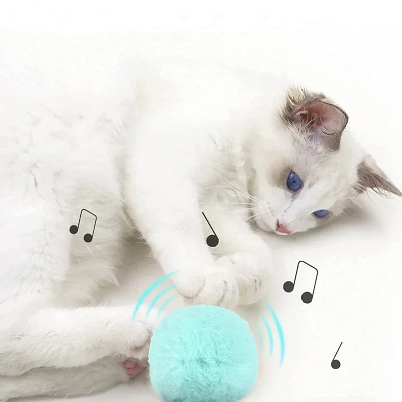 Smart cat toys