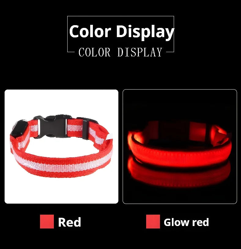 Dog collar nylon LED