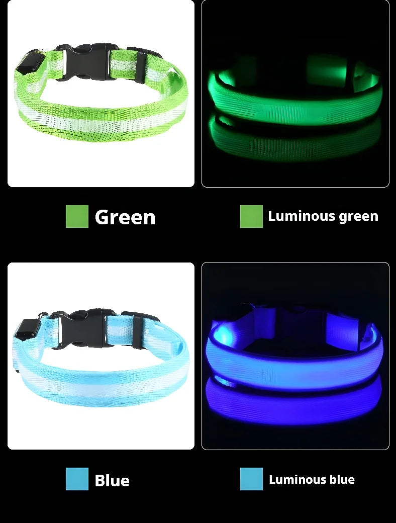 Dog collar nylon LED