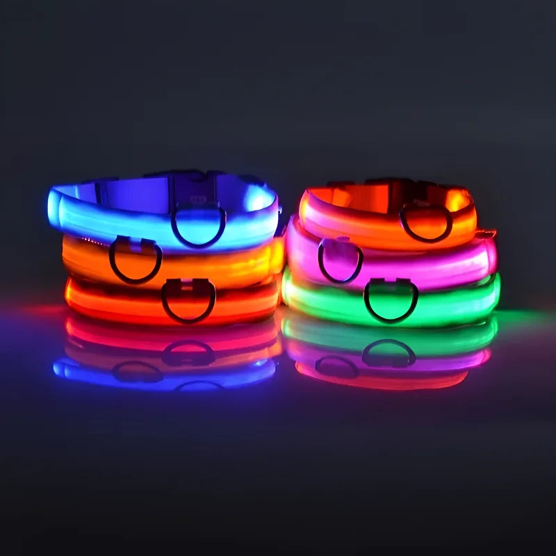 Dog collar nylon LED