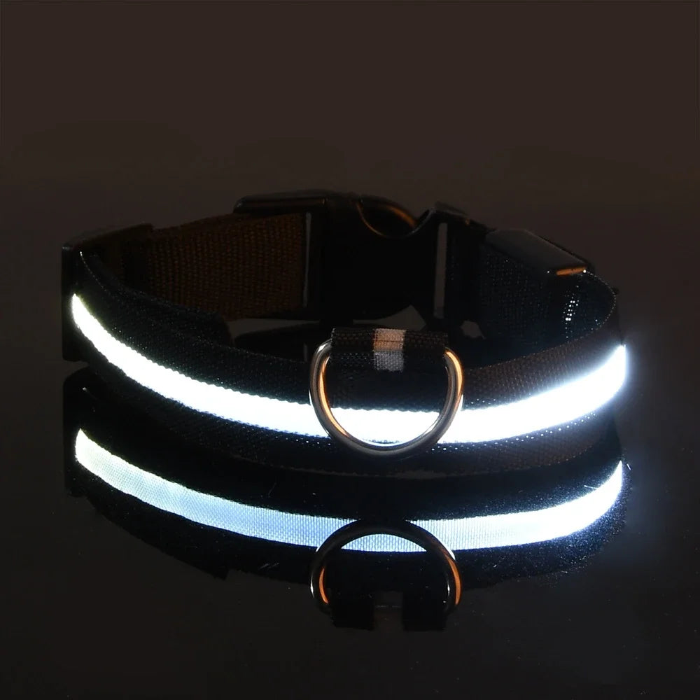 Dog collar nylon LED