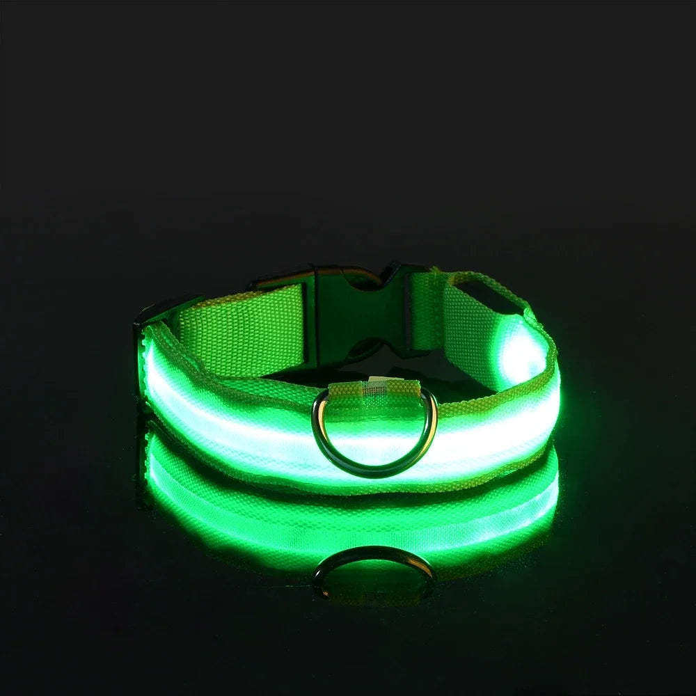 Dog collar nylon LED