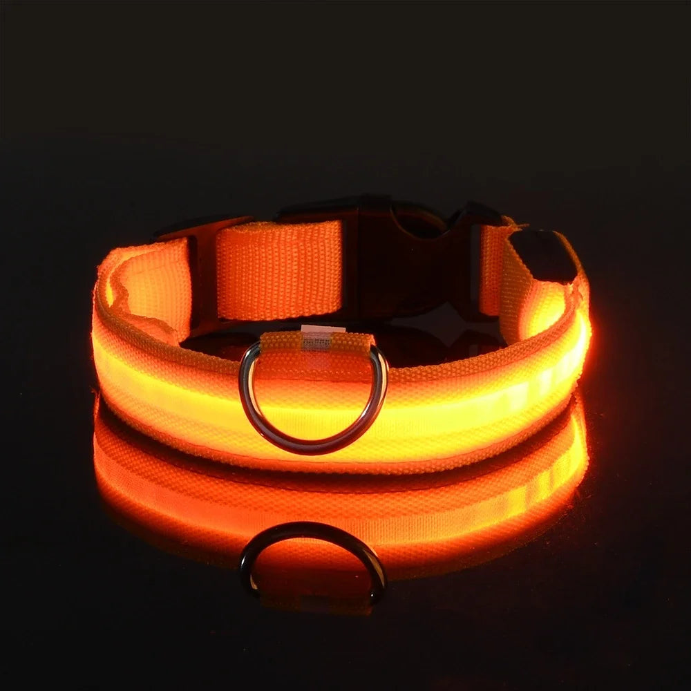 Dog collar nylon LED