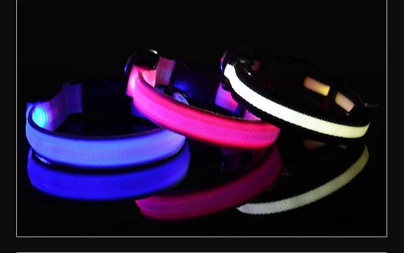 Dog collar nylon LED