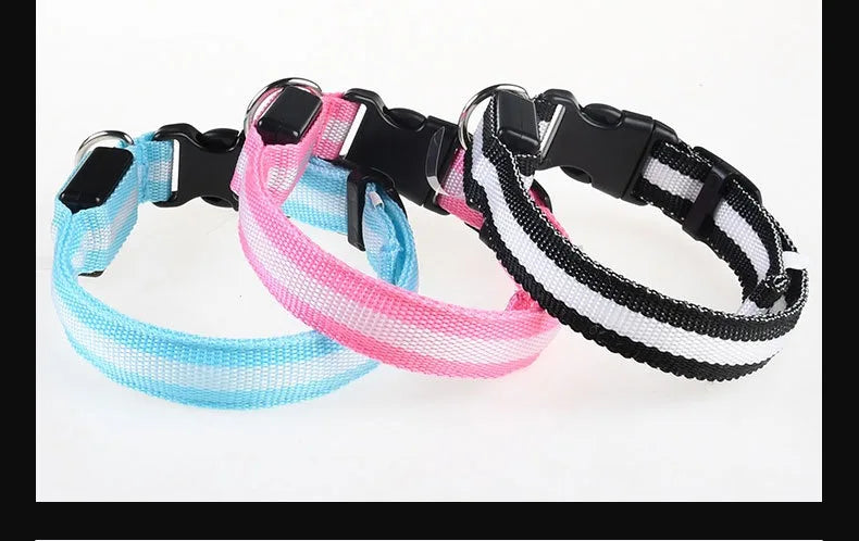 Dog collar nylon LED