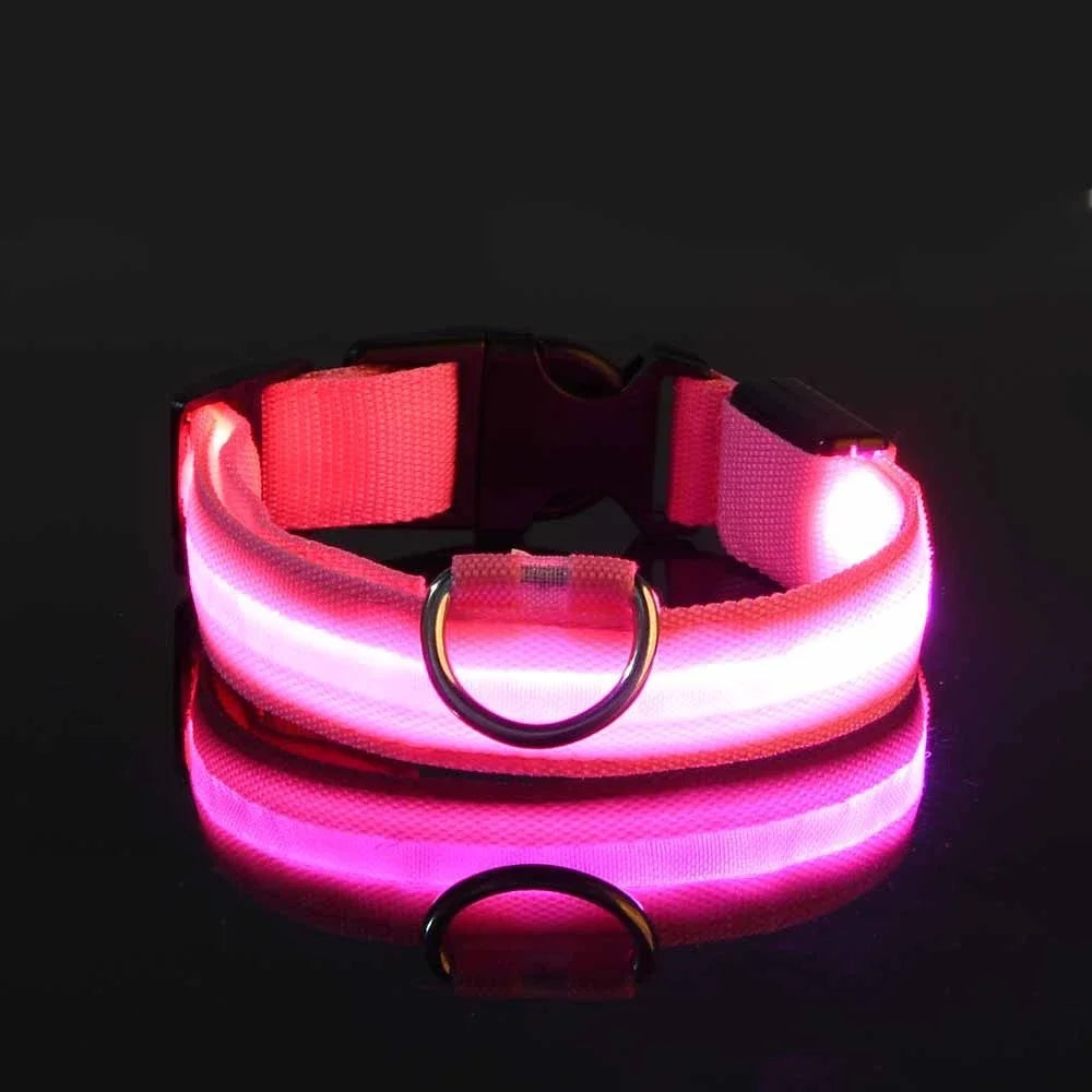 Dog collar nylon LED