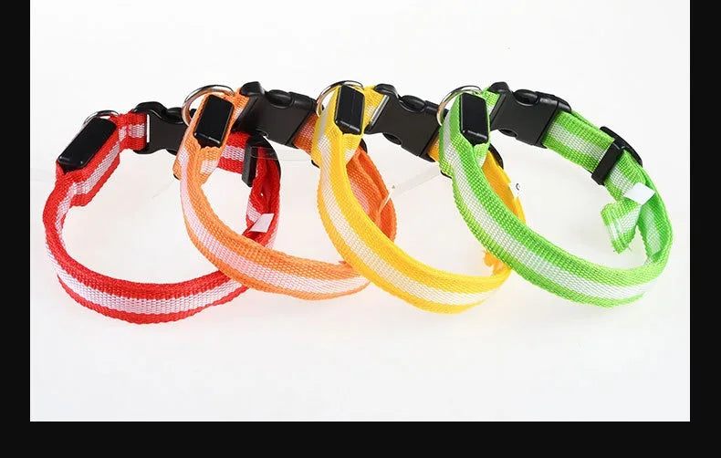 Dog collar nylon LED