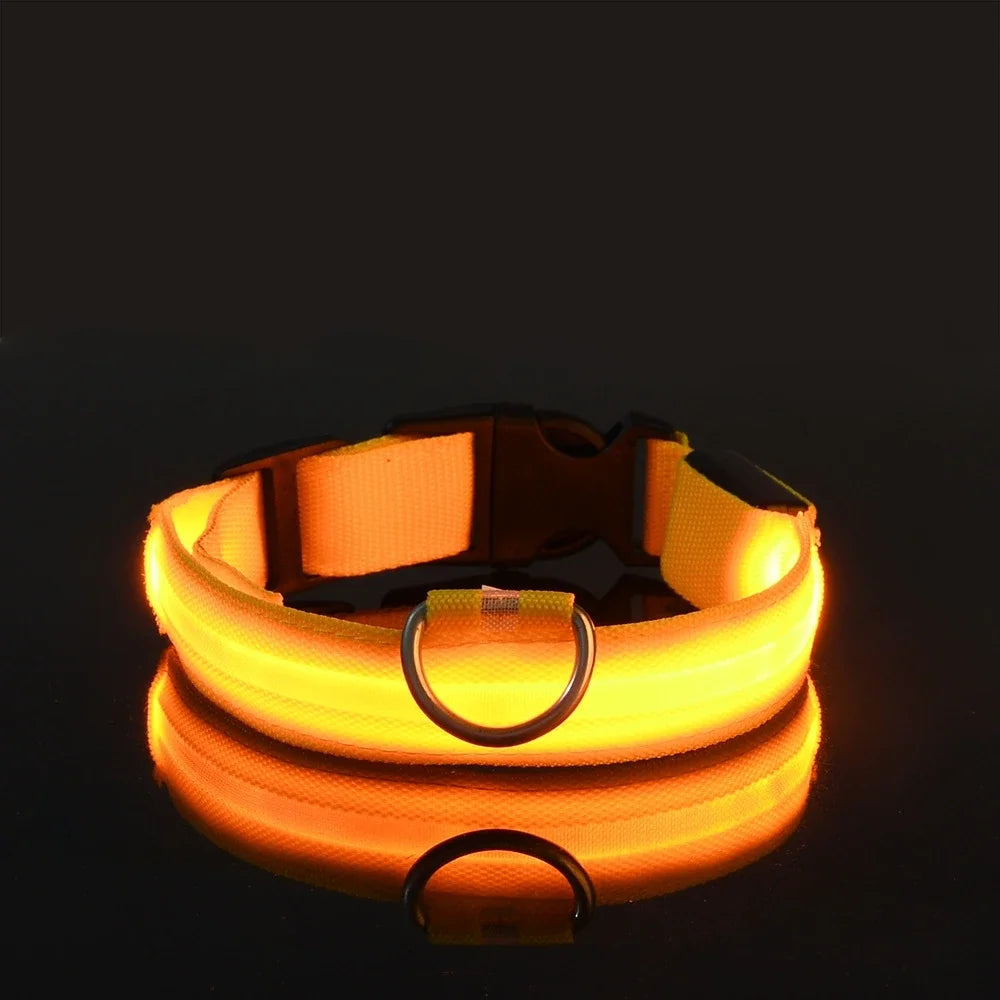 Dog collar nylon LED