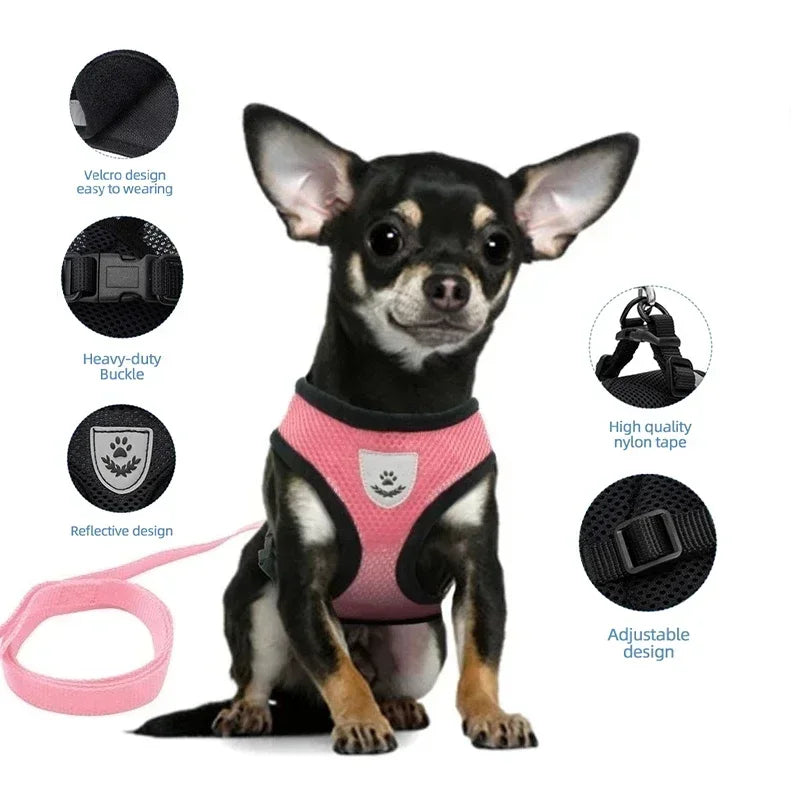 Dog wearing adjustable mesh harness and leash set
