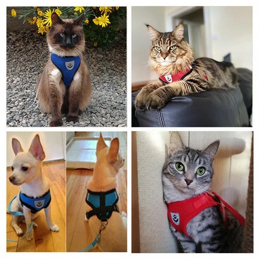 Adjustable mesh pet harness and leash set for dogs and cats
