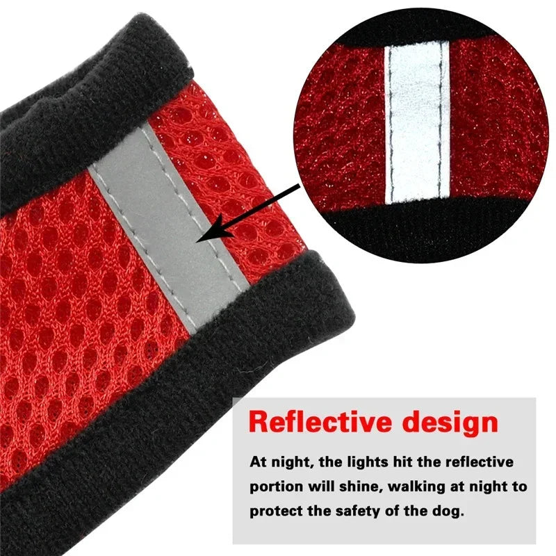 Top view of dog and cat harness leash set