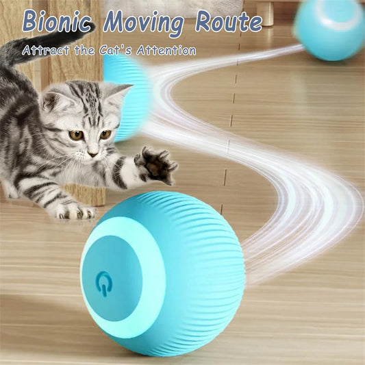 Dog playing with USB rechargeable interactive toy ball
