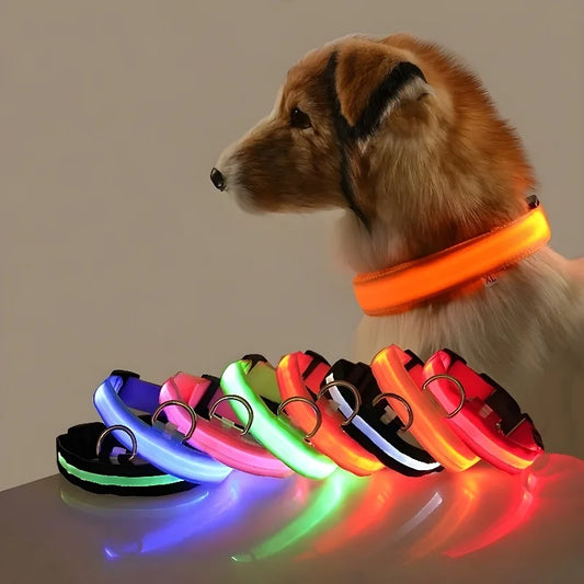 LED glow dog collar and nylon leash combo for night safety
